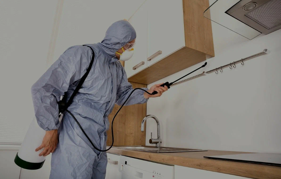 Alameda pest managment